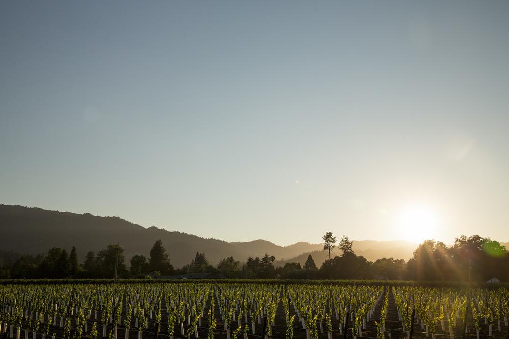 Harvest Inn St. Helena Buitenkant foto