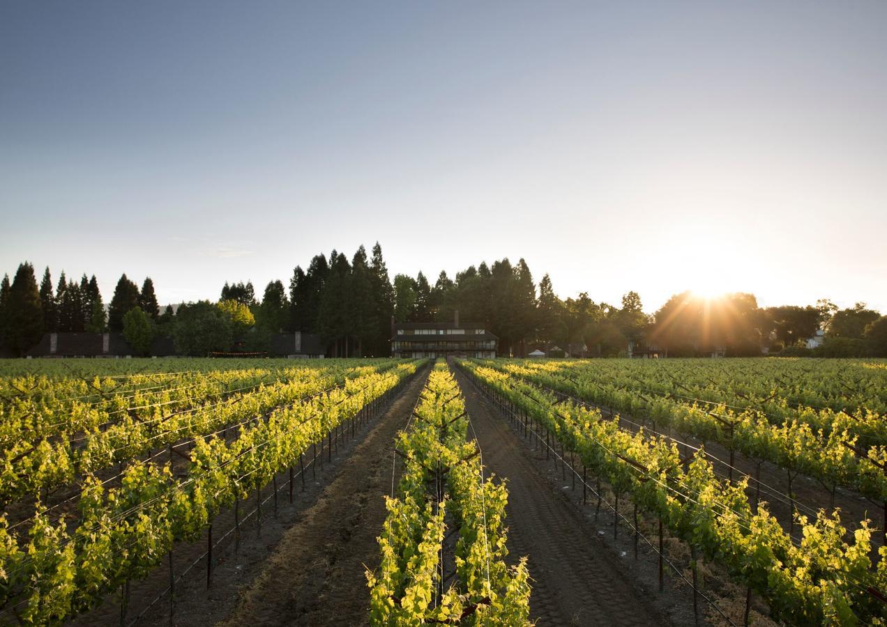 Harvest Inn St. Helena Buitenkant foto