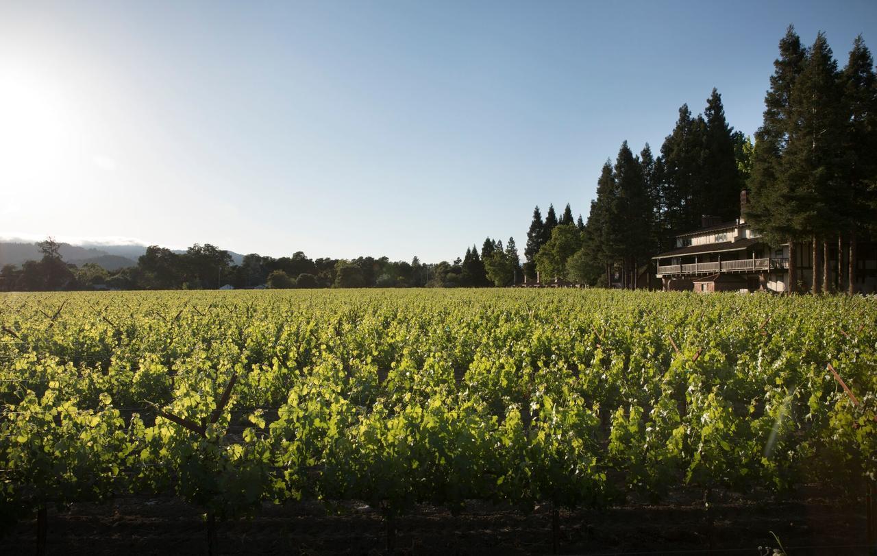 Harvest Inn St. Helena Buitenkant foto