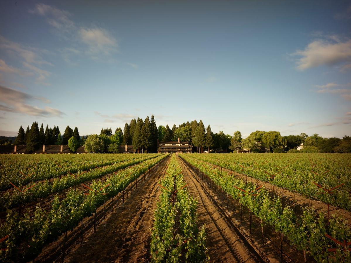 Harvest Inn St. Helena Buitenkant foto